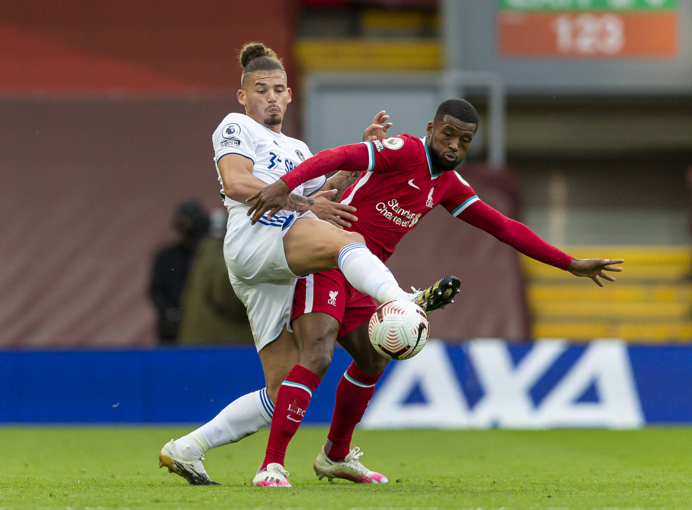 的双重特点 的双重特点