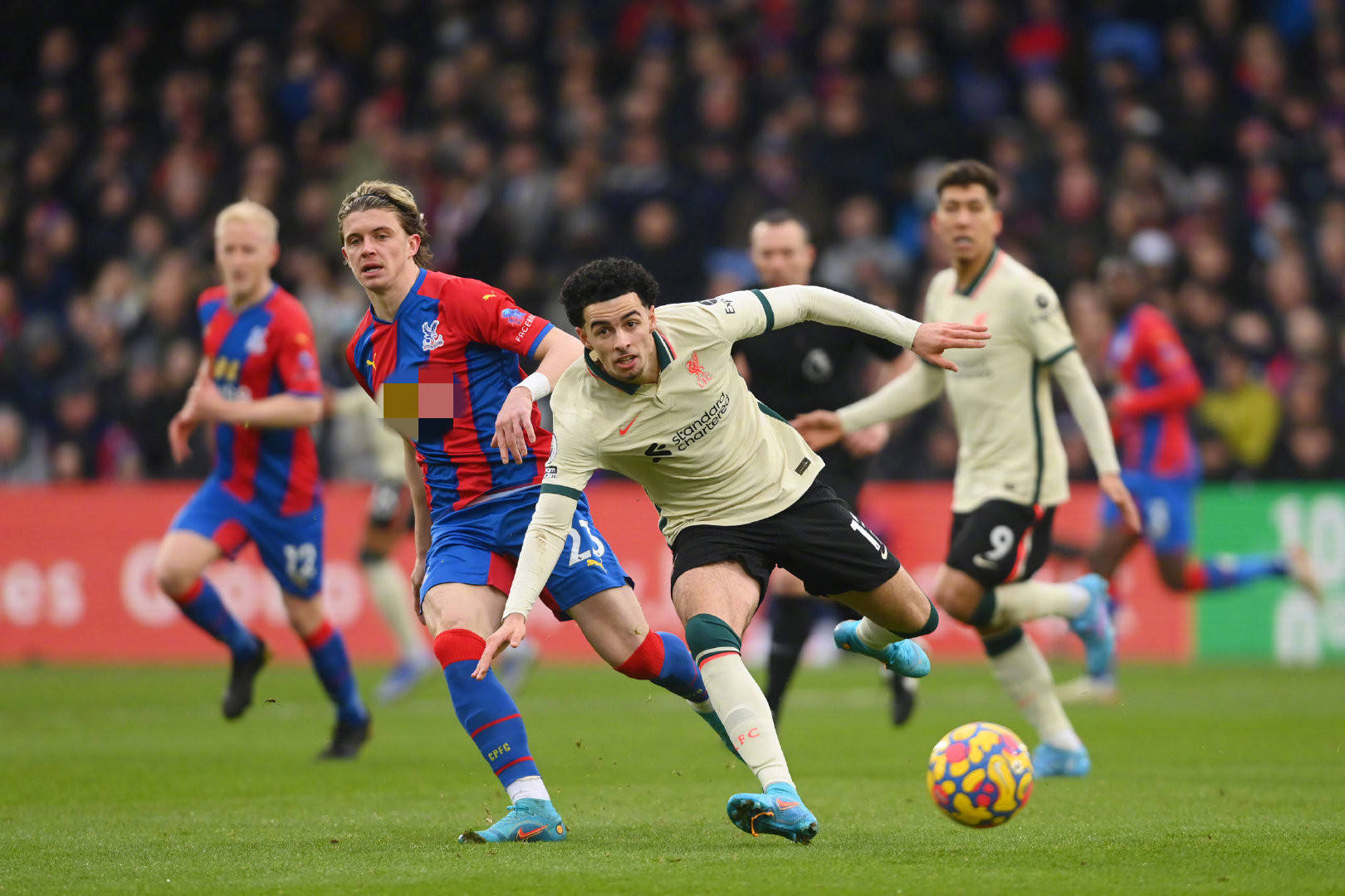 导下迅速成 导下迅速成